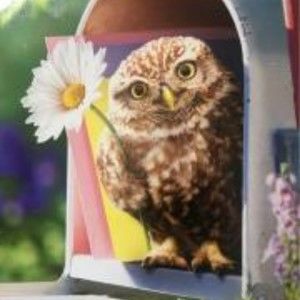 Meet your Posher, Bernadette